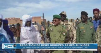 Reddition de 2 groupes armés au Niger