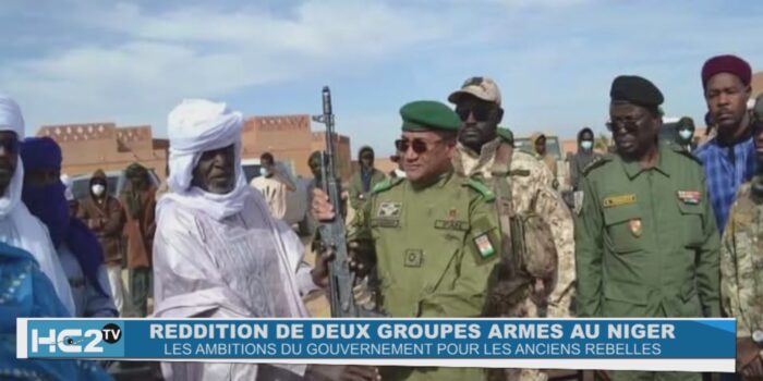 Reddition de 2 groupes armés au Niger