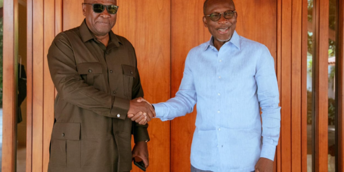 John Dramani Mahama chez Patrice Talon