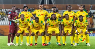 Guépards du Bénin, Equipe nationale de Football