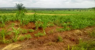 l'ANDF Bénin