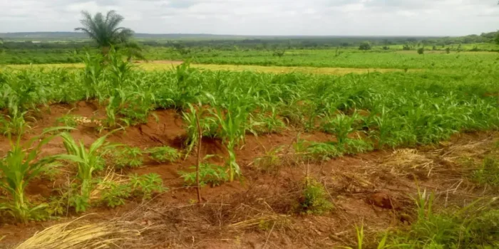 l'ANDF Bénin