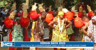 Vodun days 2025: ce qu'il faut savoir sur la divinité Hounvè