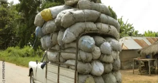 transport-charbon-de-bois au Bénin