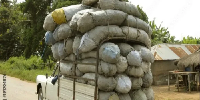 transport-charbon-de-bois au Bénin