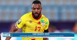 Stéphane Sessegnon