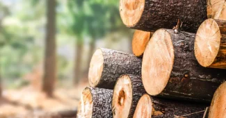 Secteur de bois au Bénin SONAB