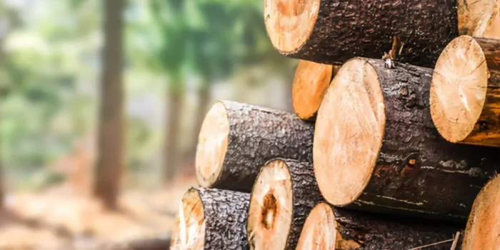 Secteur de bois au Bénin SONAB