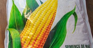 Système semencier du Bénin