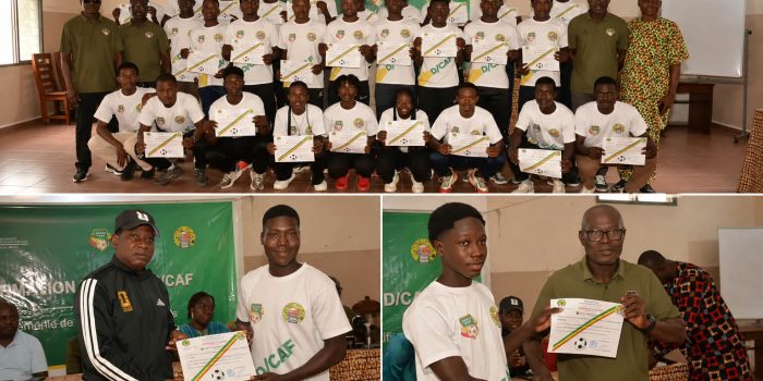 Licence D CAF